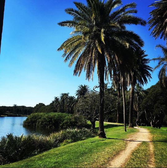 5 Of The Best Running Spots In Sydney